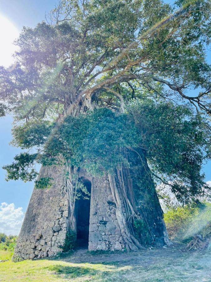 Jolie Petite Villa Sur Une Presqu'Ile Le Gosier  Kültér fotó
